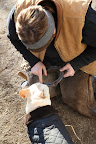 So, let me get this straight.  You hammer these shoes onto the bottoms of the horses hooves?  Now it's all beginning to make sense.