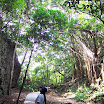 20060819_22_kenting_142.jpg