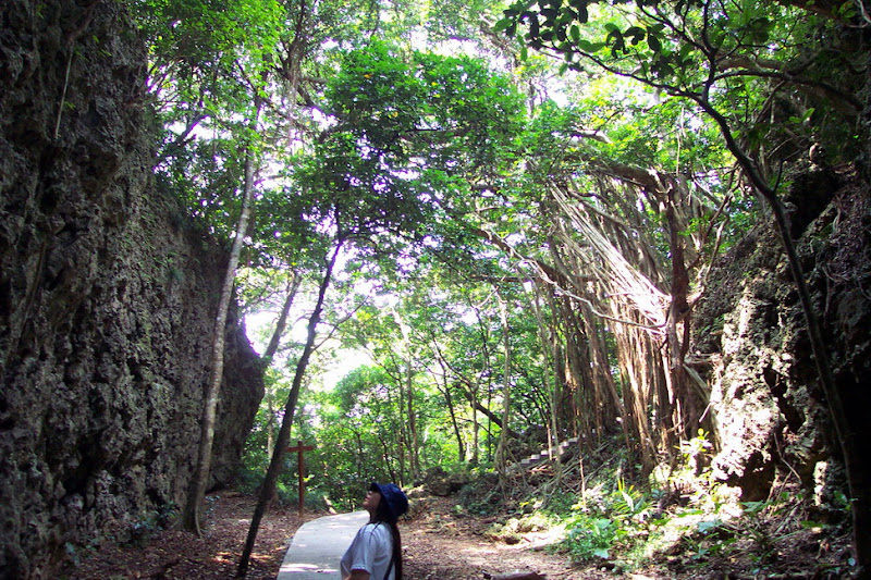20060819_22_kenting_142.jpg