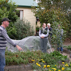 Glasshouse_blitz_3_007.jpg