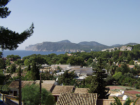 The view.