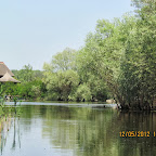 IMG_7695.JPG