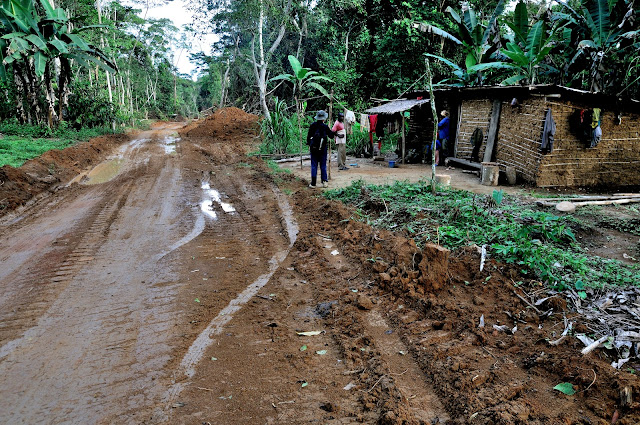 Hameau forestier. Environs d'Ebogo (Cameroun), 29 avril 2013. Photo : Daniel Milan