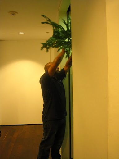 Daniel CAREFULLY gets it out of the elevator.