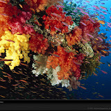 100 Amazing National Geographic Wallpapers