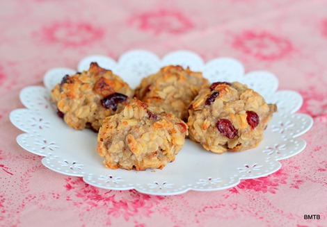 Gluten, Egg and Sugar Free Cranberry Cookies