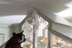 Even the canary cage is decorated for the holidays!