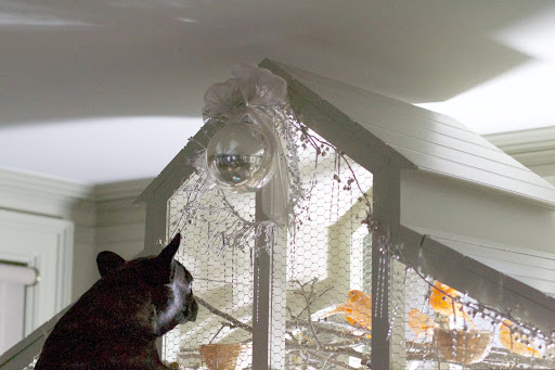 Even the canary cage is decorated for the holidays!