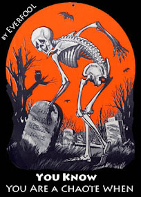 Cover of Everfool's Book You Know You Are A Chaote When