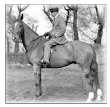 Frederick Alexander Riding Horse