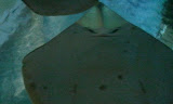 2011-11-07 11.42.26.jpg