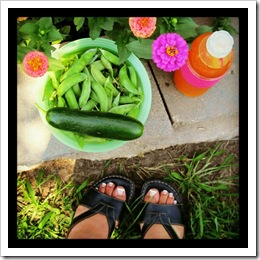 garden where I stand