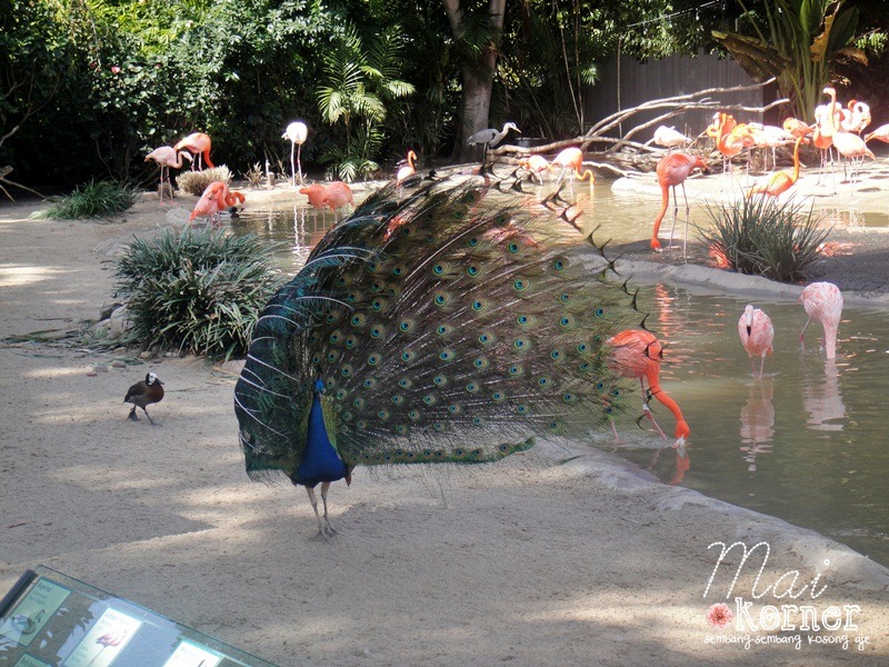 [DSC04658-e%255B2%255D.jpg]