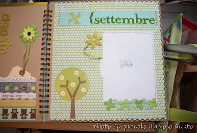 IMG_3659 IMG_3659