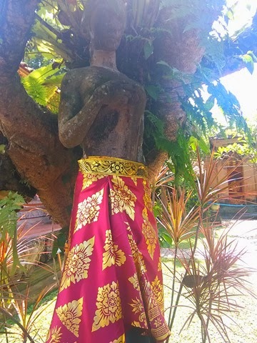 [IMG_20140216_1118512.jpg]