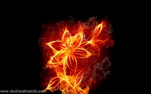 wallpapers fogo fire desbaratinando (9) wallpapers fogo fire desbaratinando (9)