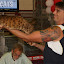 BENGALMINILEOPARDOGATILPREMIADOAMICATS