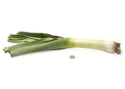 [38-leek14.jpg]