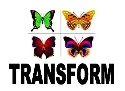 [Transform2%255B3%255D.jpg]