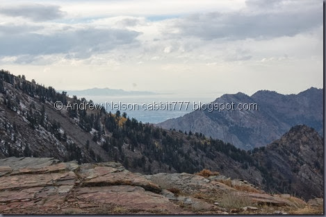 DSC_0939 DSC_0939