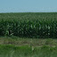 dscf5047.jpg dscf5047.jpg