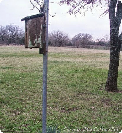 back pasture -bird house back pasture -bird house