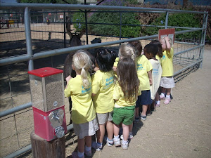Everyone trying to touch the donkey!