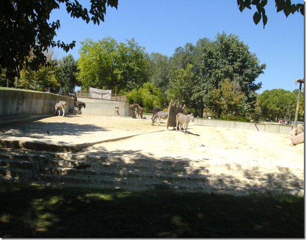 BILD0195 BILD0195