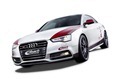 Eibach-Audi-S5-Coupe-11