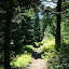 Marmot Trail