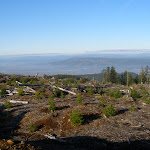 PC030151.JPG