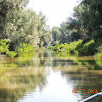DSCN9375.JPG