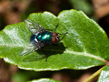 P8277673