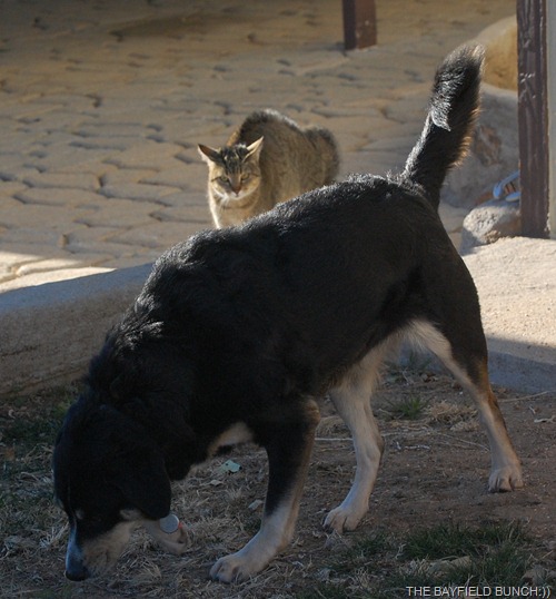 DSC_7864 DSC_7864
