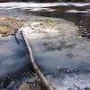 dsc06320.jpg
