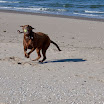_MG_7075.jpg