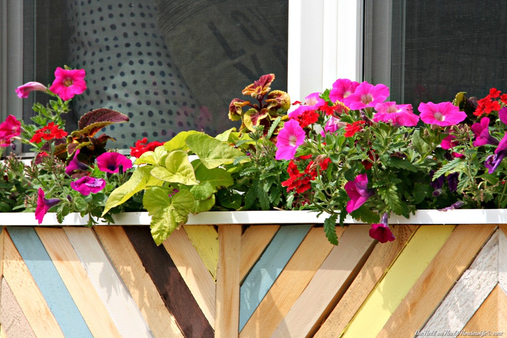 [porch%2520009%255B4%255D.jpg]