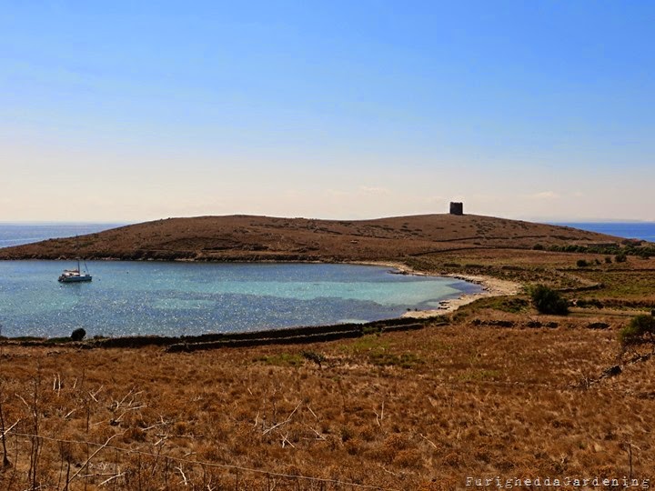 IMG_1245 IMG_1245