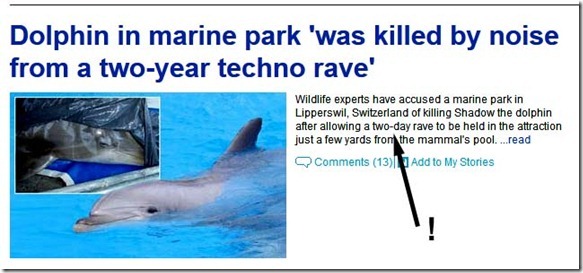dolphin