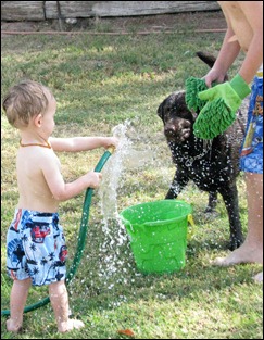 IMG_7487 IMG_7487