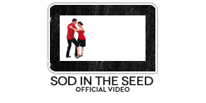 WHY? - Sod in the Seed