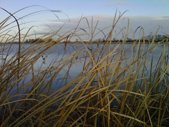 IMG00315-20111111-0814