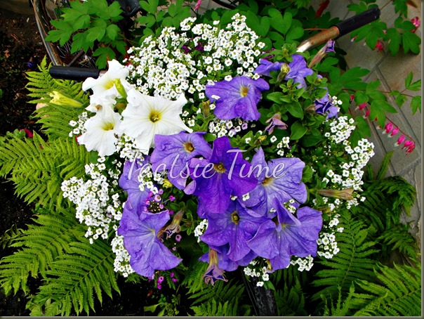 BeFunky_211.jpg BeFunky_211.jpg
