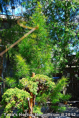 [DSC_0029%255B1%255D.jpg]