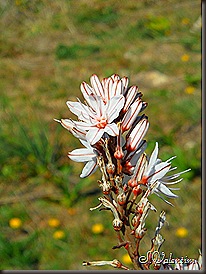 SAM_0230 SAM_0230