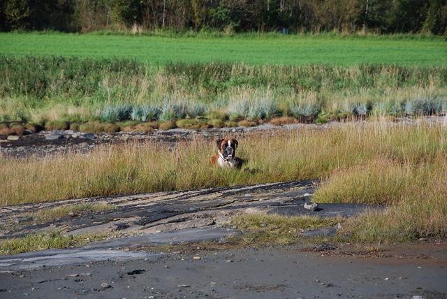 [DSC_5205%255B5%255D.jpg]