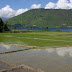Lac Toba, ID
