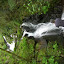 DSCN5681.JPG