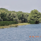 DSCN8210.JPG