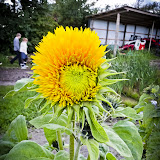 Afdelingstur2010 (46 of 167).jpg